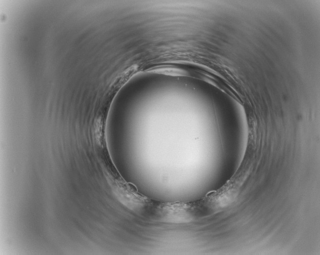 X0000060760767200511141231