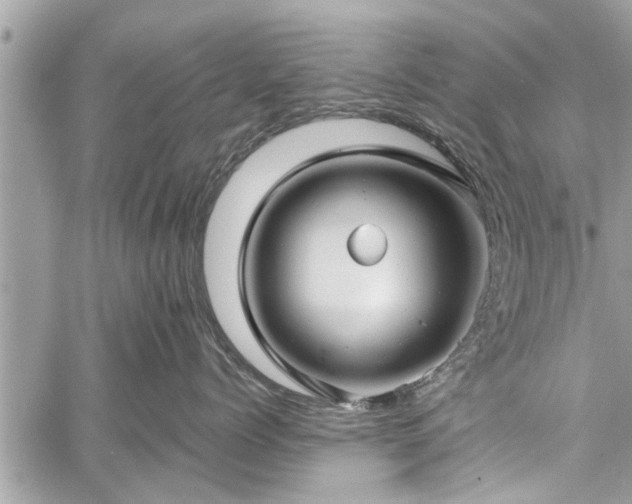 X0000060760768200511141231