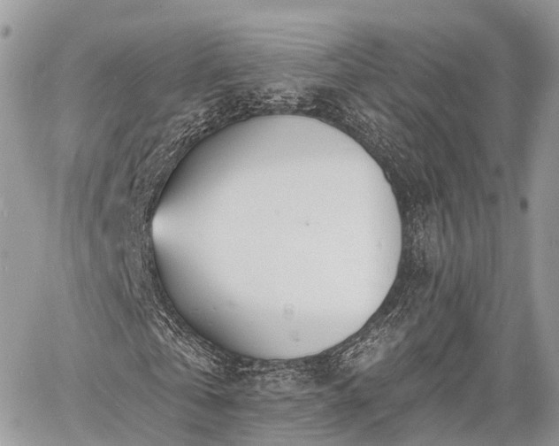 X0000060760769200511141230