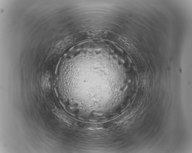 X0000060760770200511141230