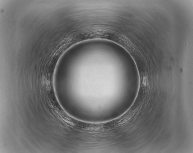 X0000060760771200511141230