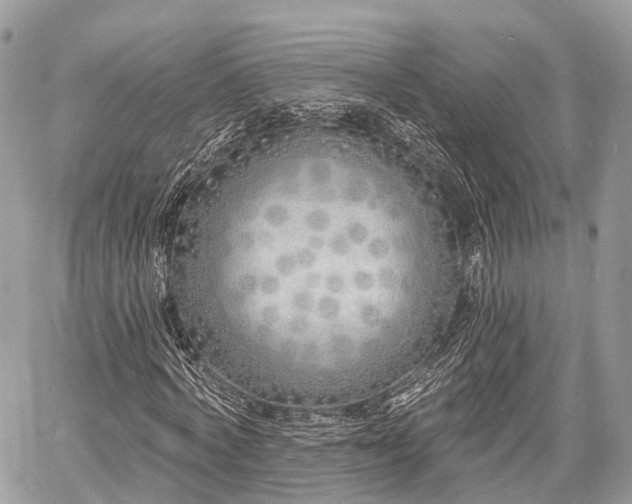 X0000060760772200511141230