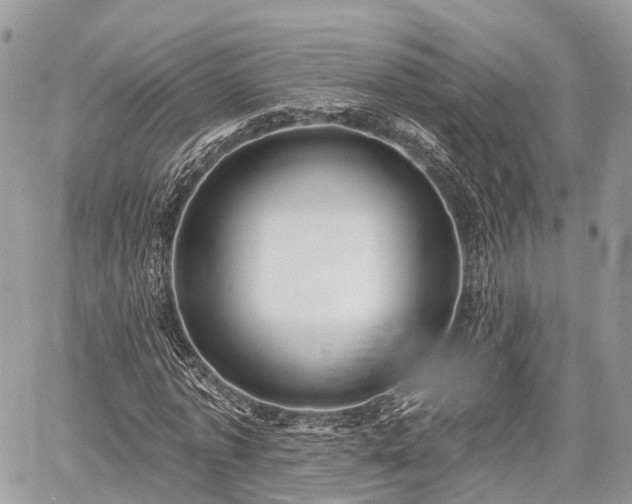 X0000060760773200511141230