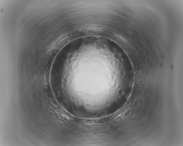 X0000060760774200511141230