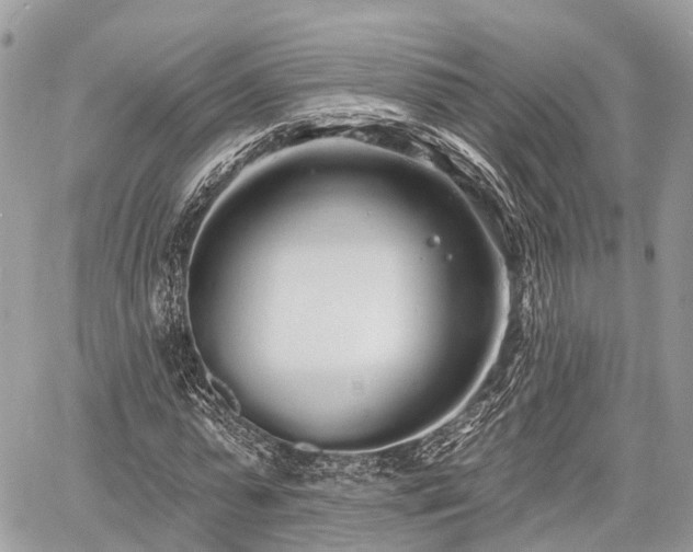 X0000060760775200511141230