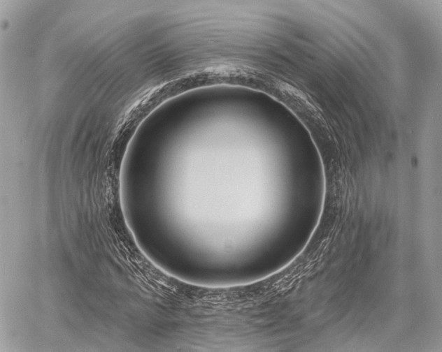 X0000060760776200511141230