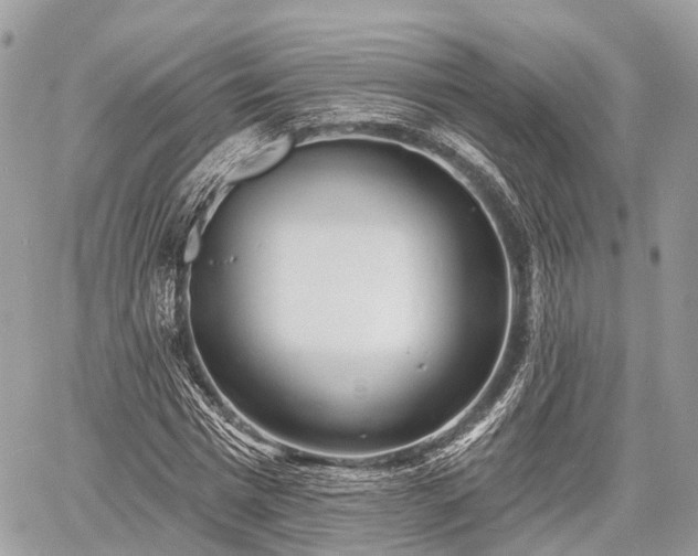 X0000060760777200511141230