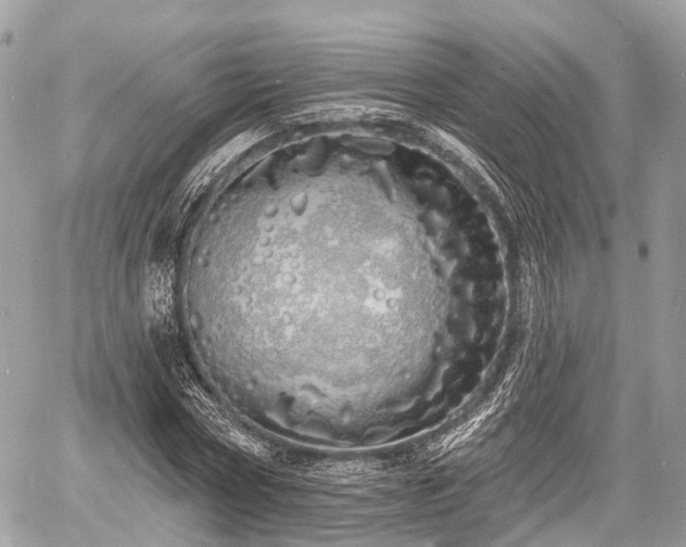 X0000060760778200511141230