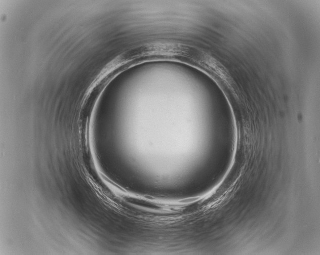 X0000060760779200511141230