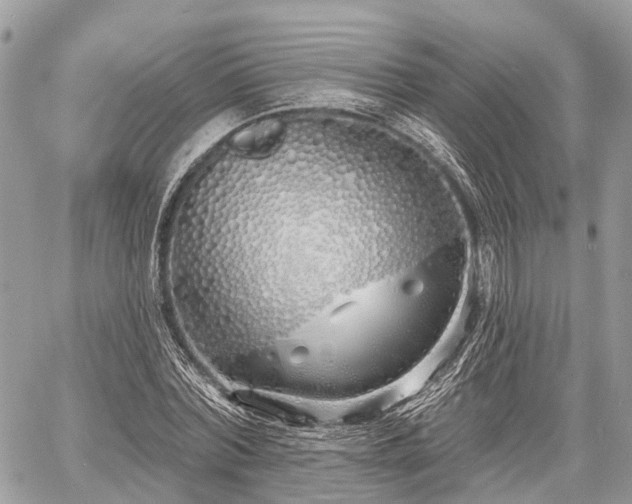 X0000060760780200511141230