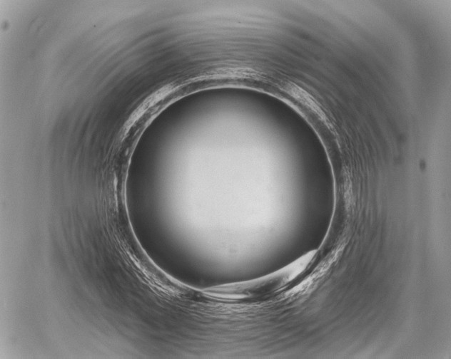 X0000060760781200511141230