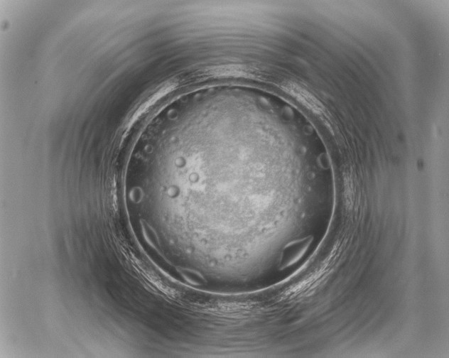 X0000060760782200511141230