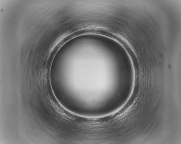 X0000060760783200511141230