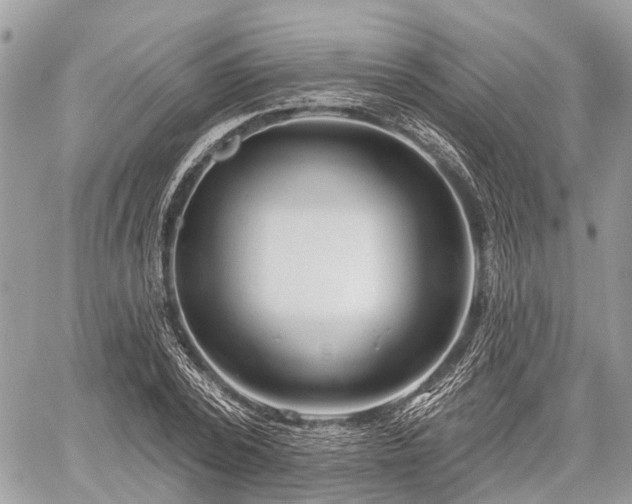 X0000060760784200511141230