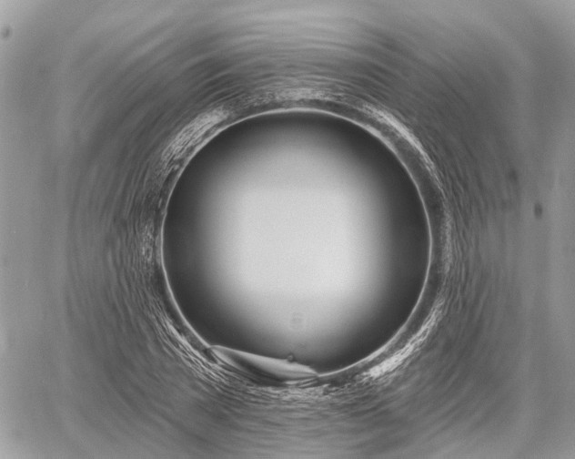 X0000060760785200511141230