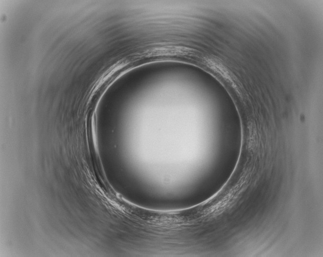 X0000060760786200511141230