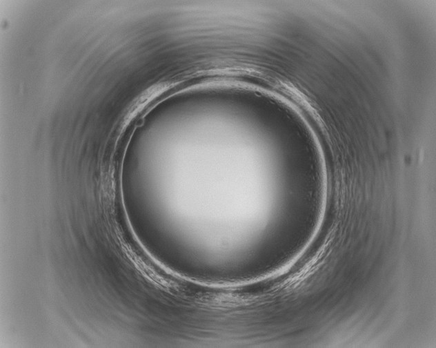 X0000060760787200511141230