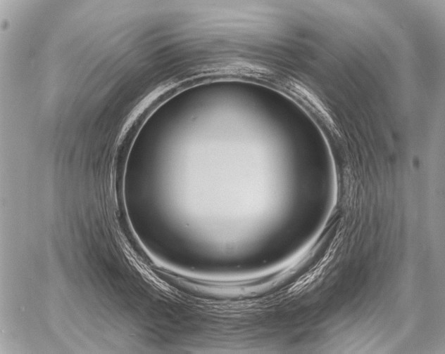 X0000060760788200511141230