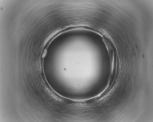 X0000060760789200511141230