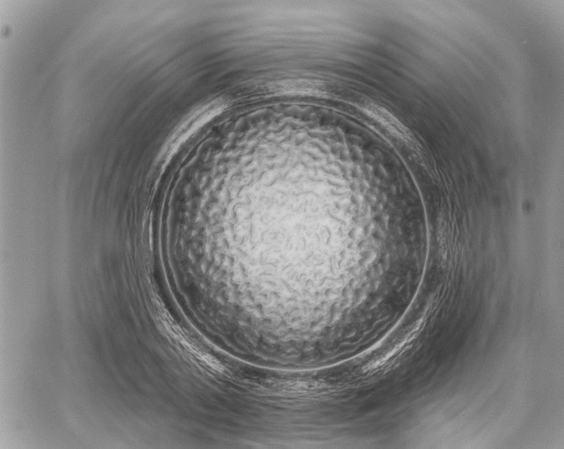 X0000060760790200511141230