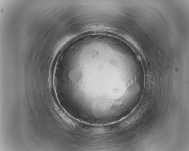 X0000060760791200511141230