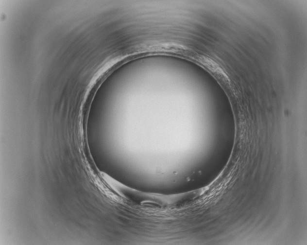 X0000060760792200511141230