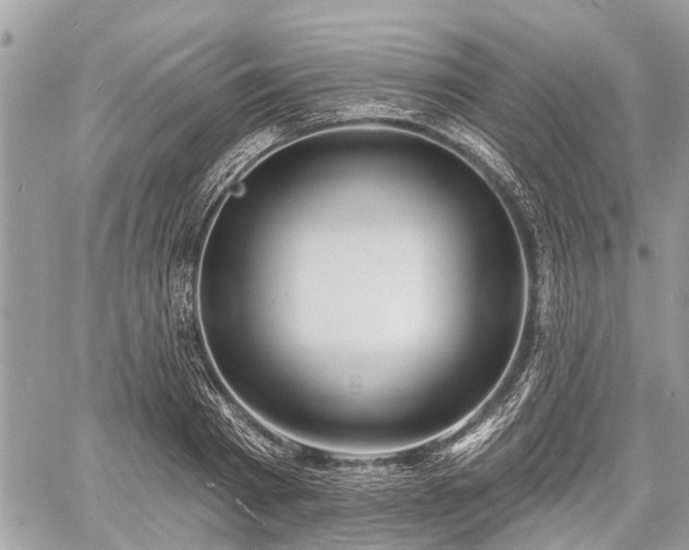 X0000060760793200511141230