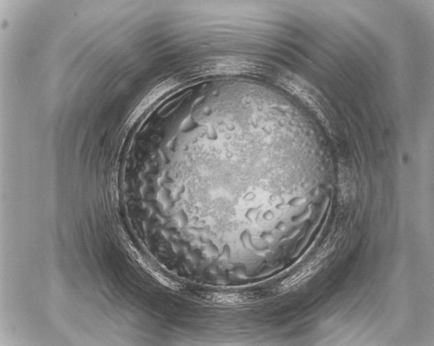 X0000060760794200511141230