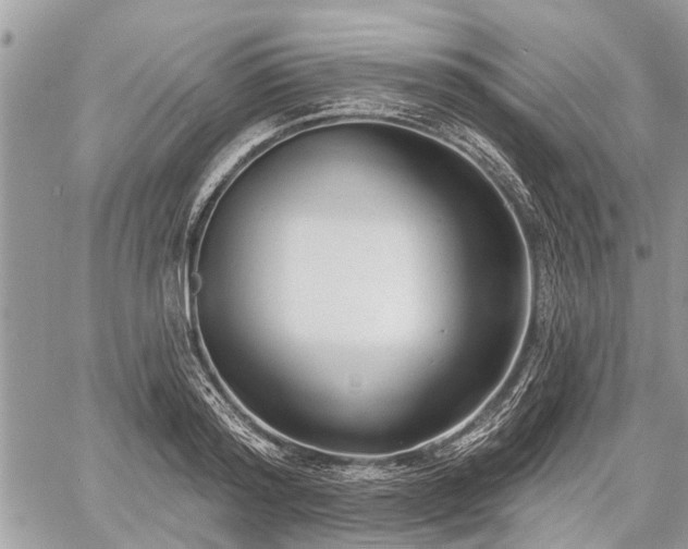 X0000060760796200511141230