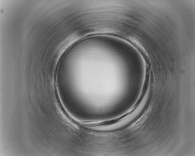 X0000060760797200511141230