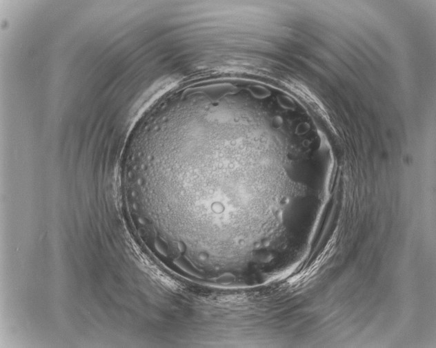 X0000060760798200511141230