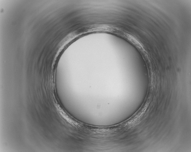 X0000060760800200511141230