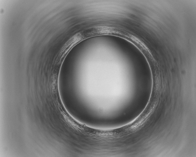 X0000060760801200511141230