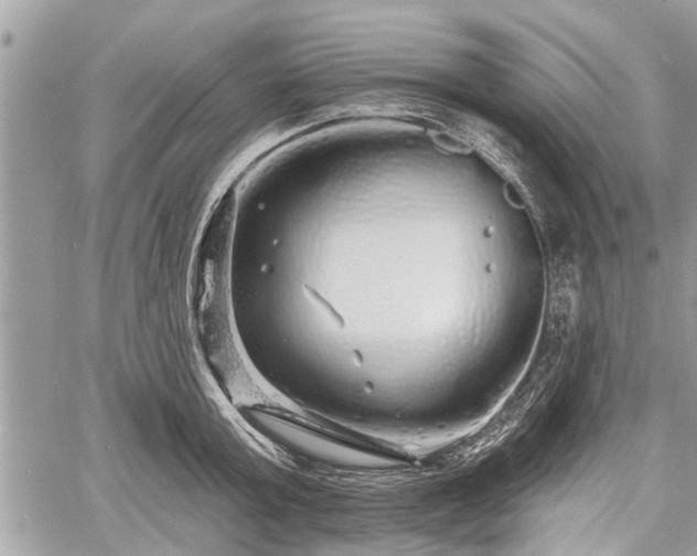 X0000060760803200511141230