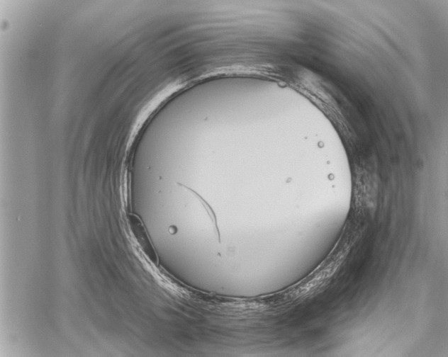 X0000060760804200511141230