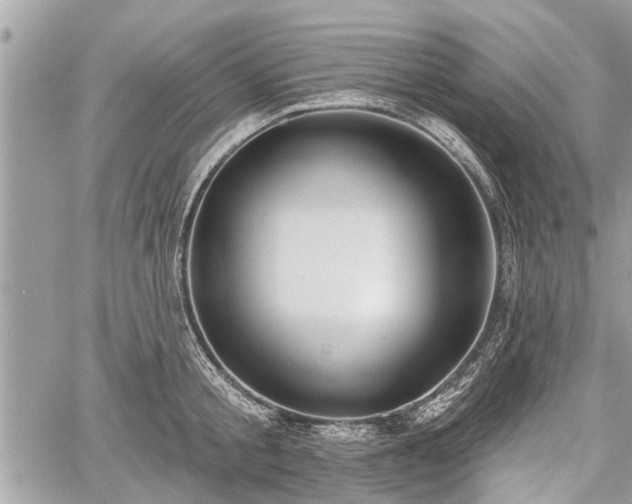 X0000060760805200511141230