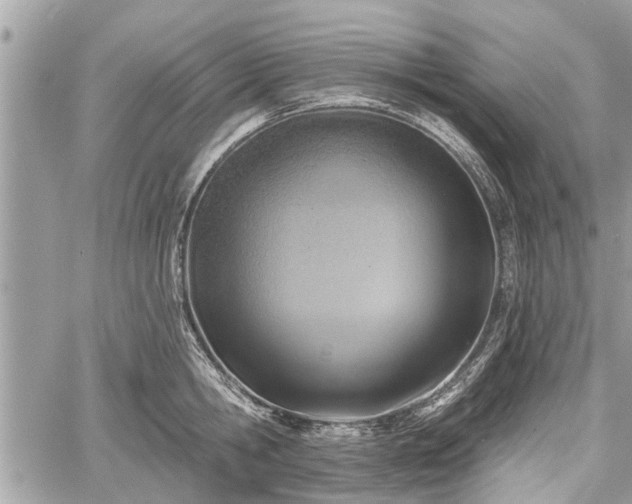 X0000060760806200511141229