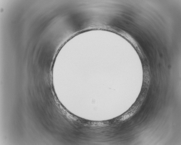 X0000060760807200511141229