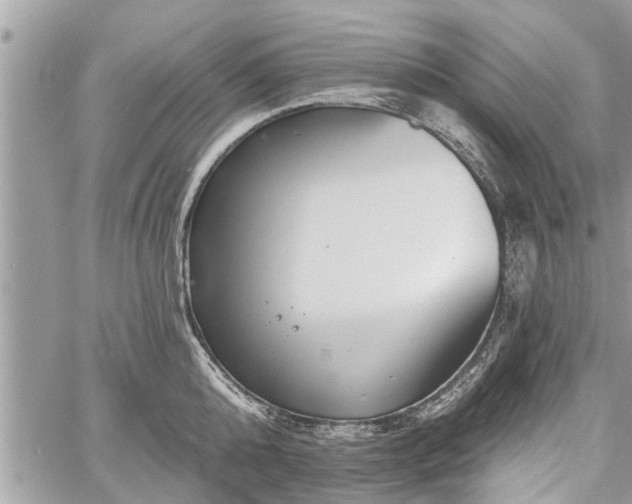 X0000060760808200511141229