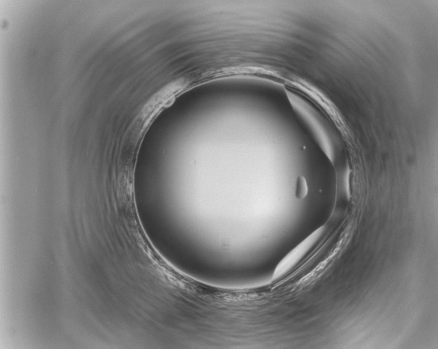 X0000060760809200511141229