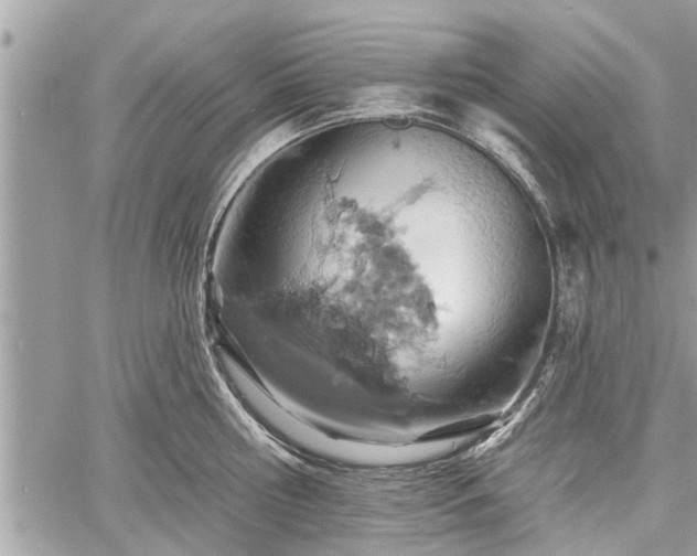 X0000060760810200511141229