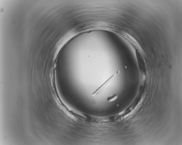 X0000060760812200511141229