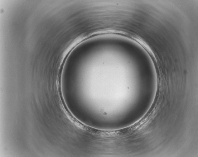 X0000060760813200511141229