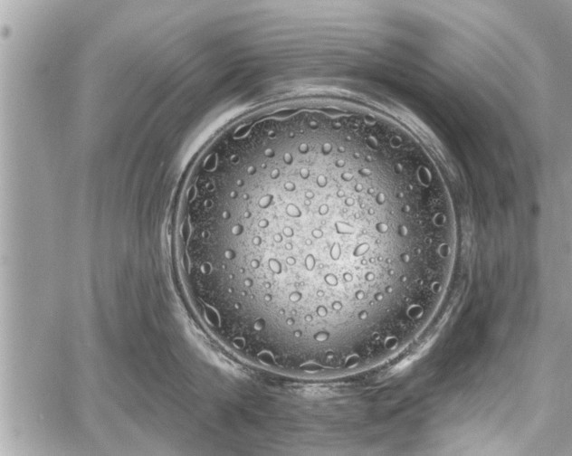 X0000060760814200511141229