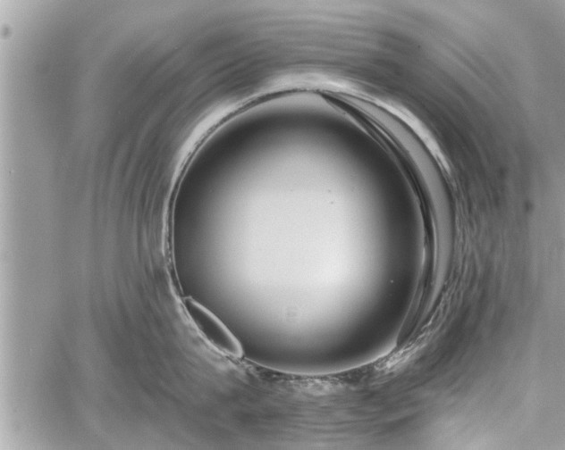 X0000060760815200511141229