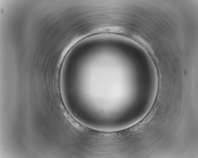 X0000060760816200511141229