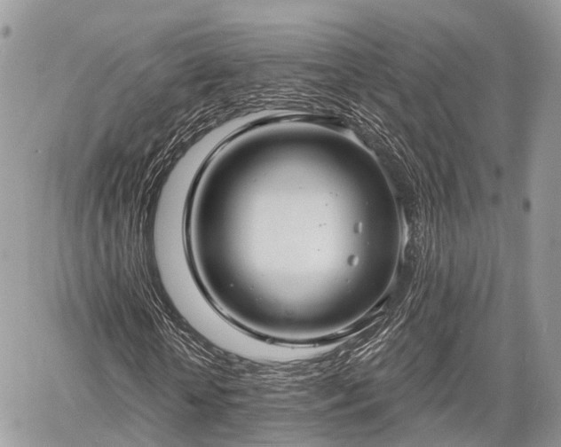 X0000060760818200511141229