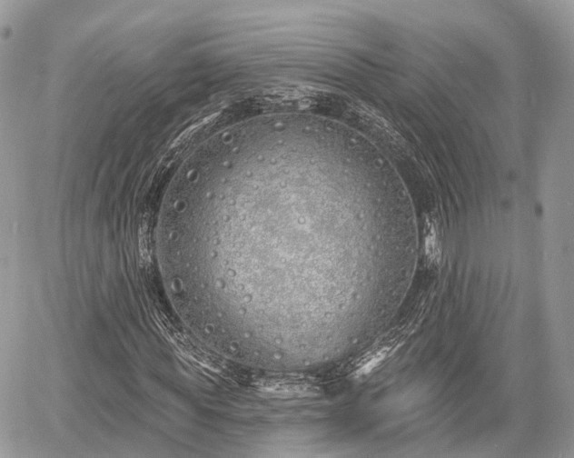 X0000060760819200511141229