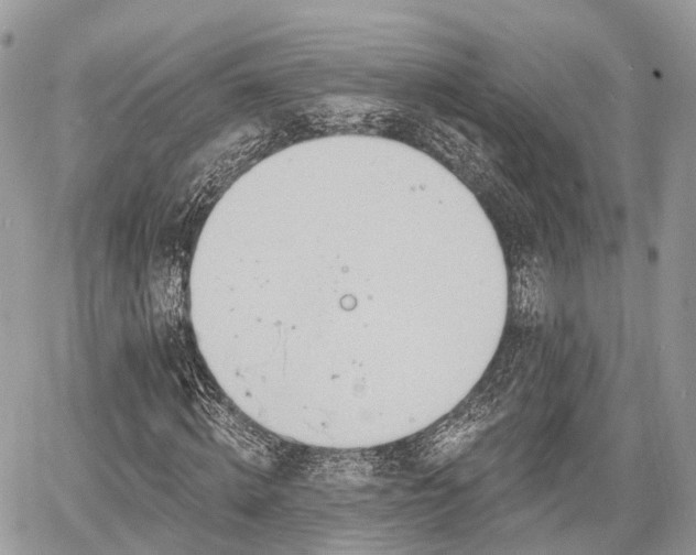 X0000060760820200511141229