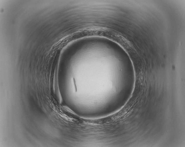 X0000060760821200511141229